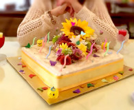 IMG-20141201-WA0002